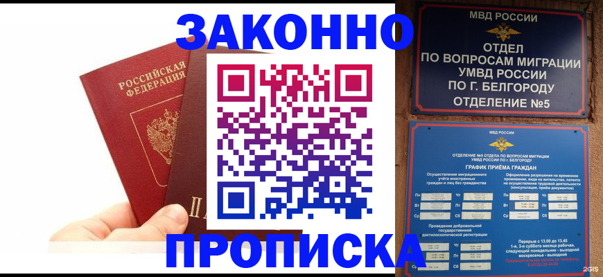 временная регистрация для школы в Сольцах